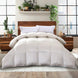 Product image thumbnail 1