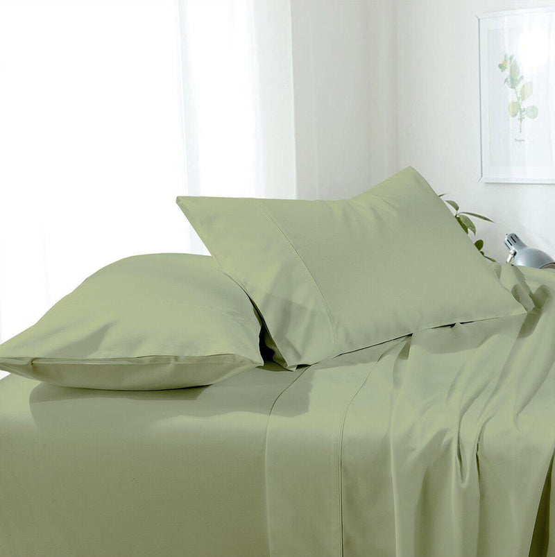 Buy Essenza Cotton King Bed Sheet 220X254 CM in Light Green Colour